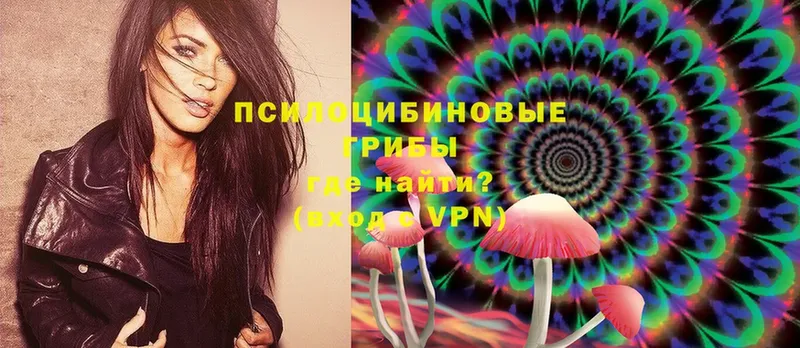 Галлюциногенные грибы Magic Shrooms  hydra маркетплейс  Курлово  дарнет шоп 